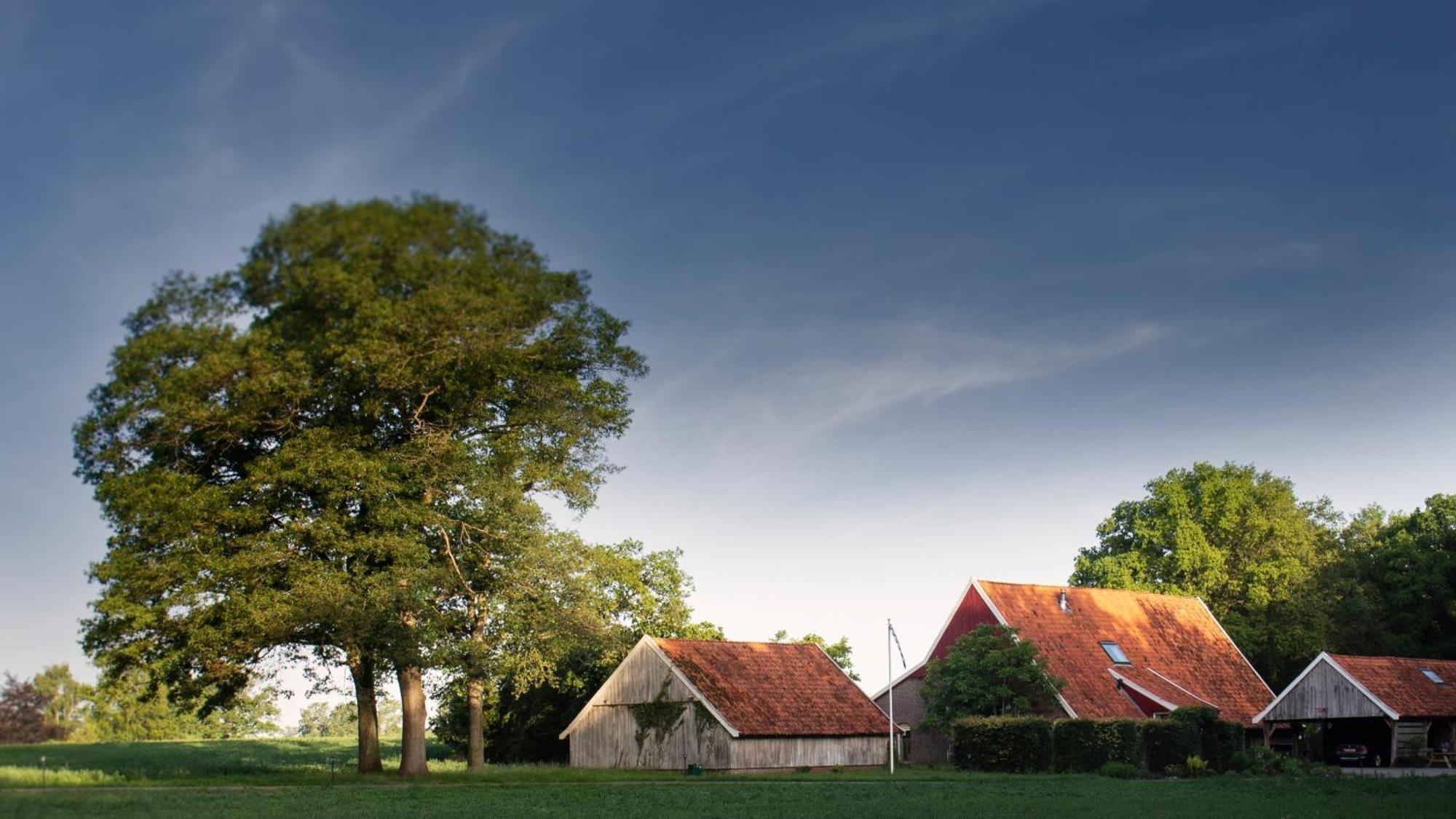 Buitenverblijf Het Grootenhuis Winterswijk Henxel Buitenkant foto